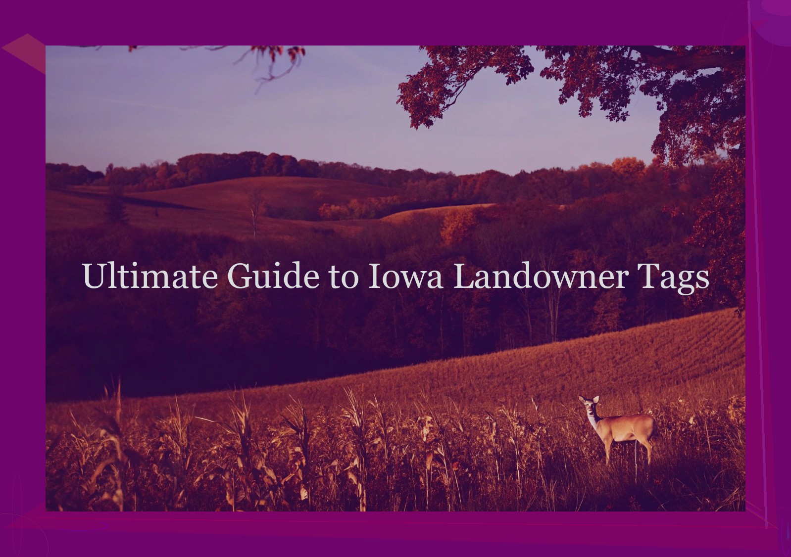 Ultimate Guide to Iowa Landowner Tags